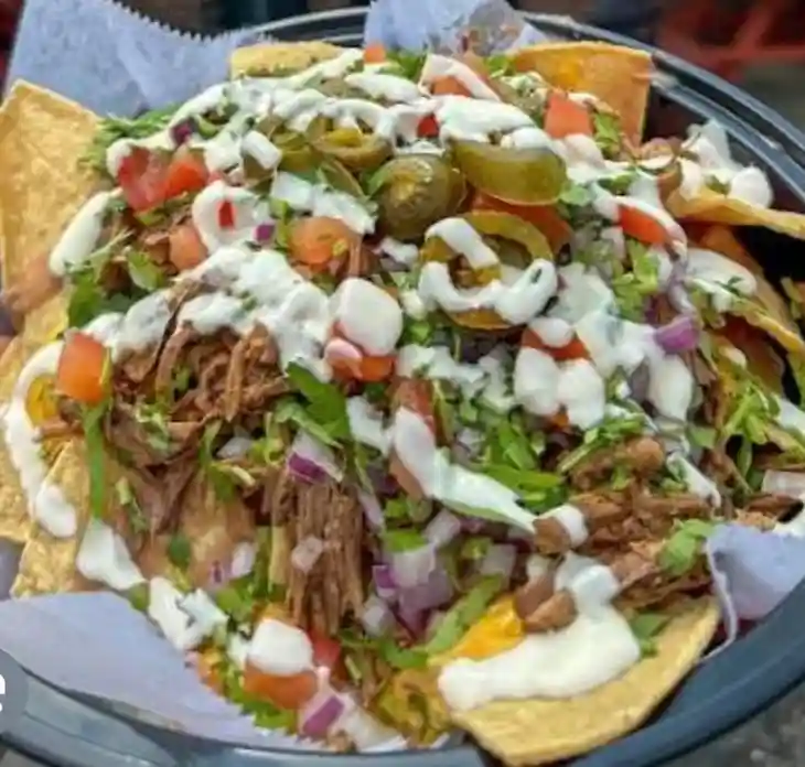 Birria Nachos