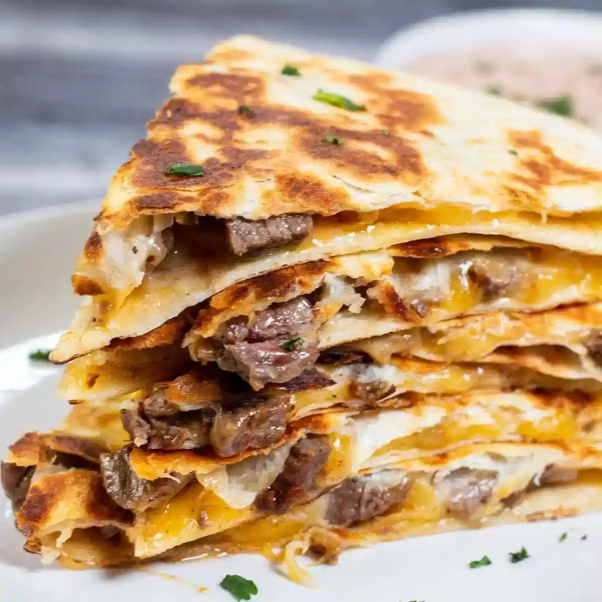 Steak Quesadilla